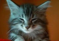 Angie321 a Ozzy