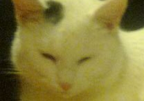 Toník a Bedřich Toník a Bedřich