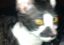 Sofie a Tobby