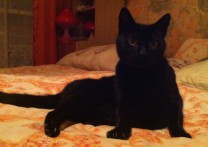 Milena a Anuška Milena a Anuška