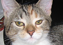 LadyGigi a Jůlie LadyGigi a Jůlie