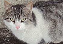 Pavel Ouředníček a Filip