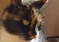 Emma Emma