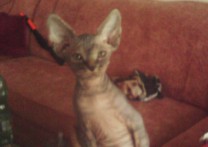 iveta a Sam
