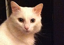 Lucy a Fedor Lucy a Fedor