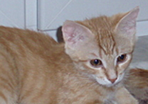 Ben a Nick Ben a Nick