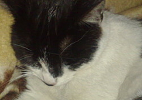 Micka Micka