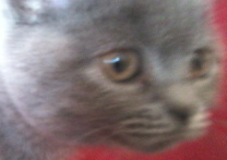 Amálka :) Amálka :)