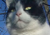 Peťulda a Majdulka Peťulda a Majdulka